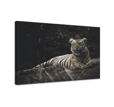 Animal canvas wall art majestic tiger resting - TenStickers