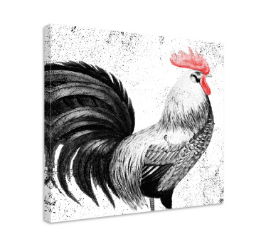 Black and red rooster bird canvas prints - TenStickers