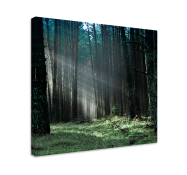 Mystical forest light tree canvas wall art - TenStickers