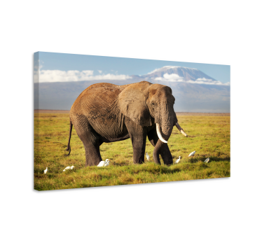 Kilimanjaro elephant elephant canvas print - TenStickers