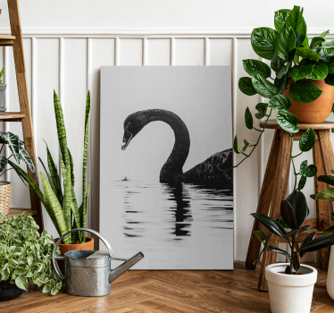 Black Swan bird canvas art - TenStickers