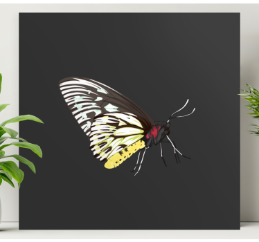 Butterfly canvas elegant butterfly design - TenStickers