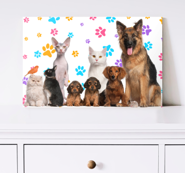 Dogs and cats animal canvas - TenStickers