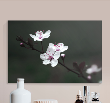 Flowers canvas delicate blossoms in bloom - TenStickers