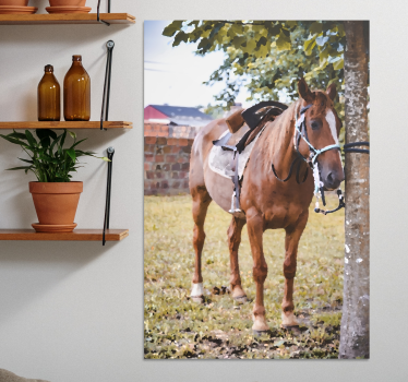 Horse wall art elegant brown horse - TenStickers
