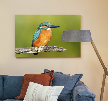 Kingfisher photo bird canvas art - TenStickers