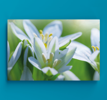 Meadow of magnificent  snowdrops floral canvas - TenStickers