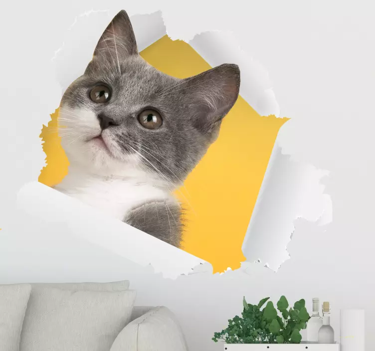 Cat Sticker 3D wall sticker - TenStickers