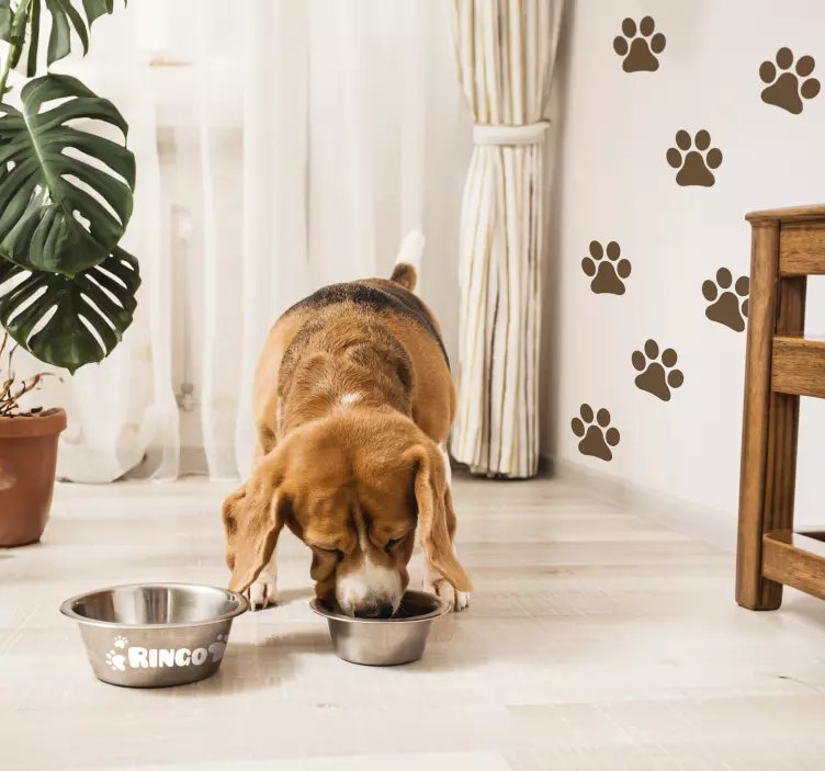 Set of paw prints animal wall sticker - TenStickers