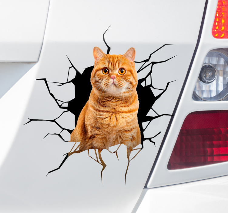 3D cat in hole car sticker - TenStickers
