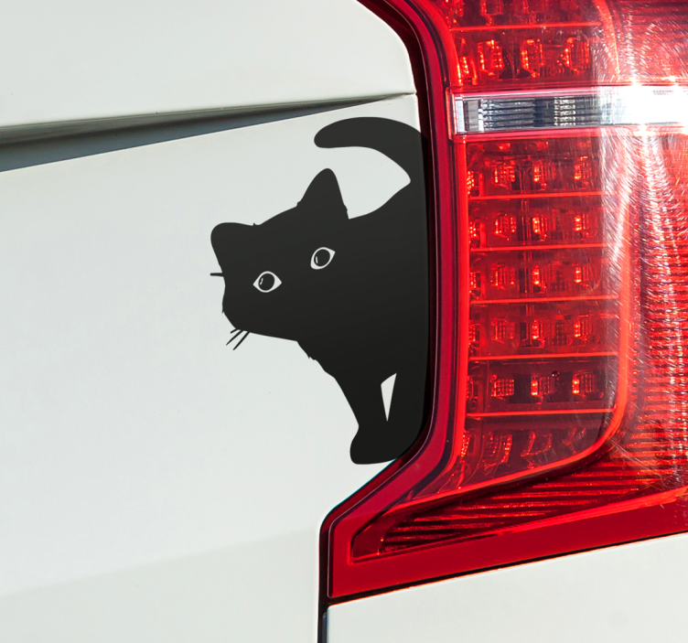 Curious black cat car sticker - TenStickers