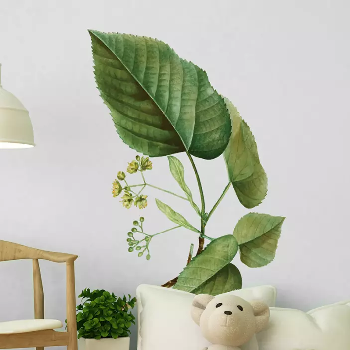 Leaf Linden plant wall sticker - TenStickers