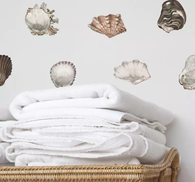 Seashells collection bathroom wall sticker - TenStickers