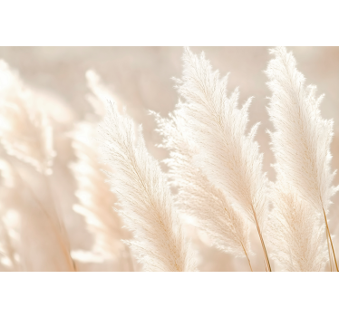 Pampas grass in sunlight nature wall sticker - TenStickers