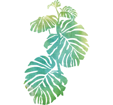 Monstera Deliciosa Plant Wall Sticker - TenStickers