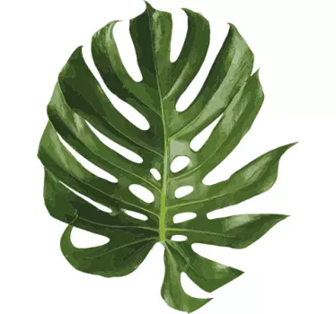 Swiss Cheese Plant Wall Sticker - TenStickers