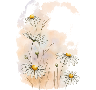 Aquarella daisy flowers furniture sticker - TenStickers