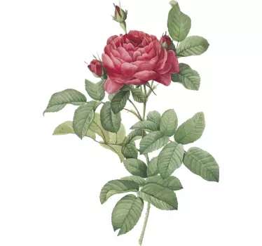 Red rose Home Wall Sticker - TenStickers