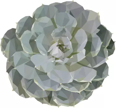 Geometric Succulent Decor nature wall sticker - TenStickers