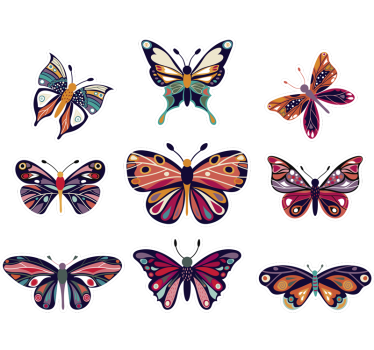 Butterfly wall sticker window - TenStickers
