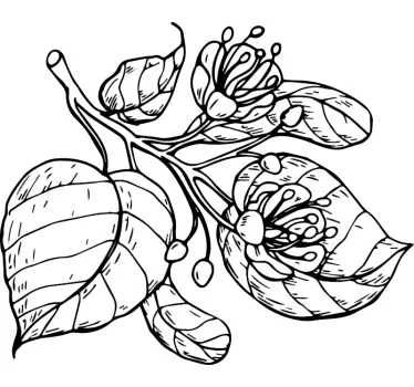 Wall sticker botanical leaf cluster - TenStickers