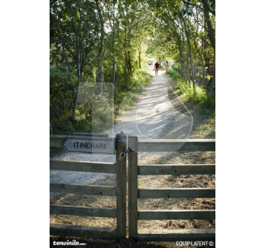 Nature wall sticker pathway signage - TenStickers