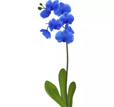 Blue orchid flower wall decal - TenStickers