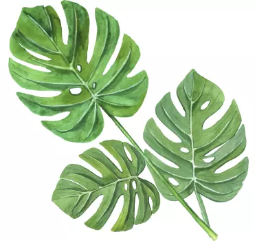 Monstera leaves plant living room wall sticker - TenStickers
