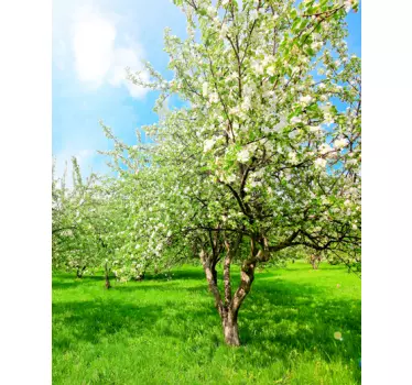 Bright apple tree wall sticker - TenStickers