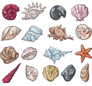 Seashell Collection nature wall sticker - TenStickers