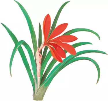 Red flower arrangement wall sticker - TenStickers