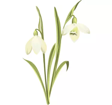 Snowdrop plant flower wall sticker for bedroom - TenStickers
