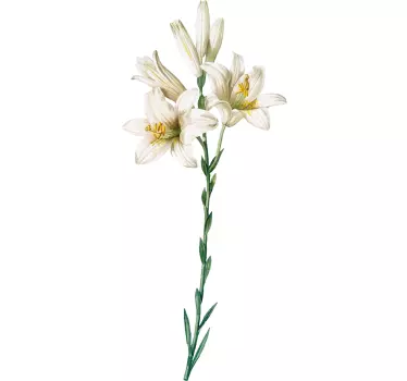 Elegant Lily Arrangement wall sticker - TenStickers