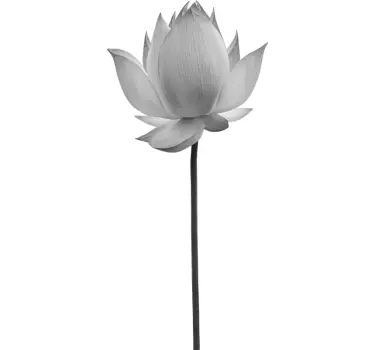 Elegant Lotus Blossom wall sticker - TenStickers