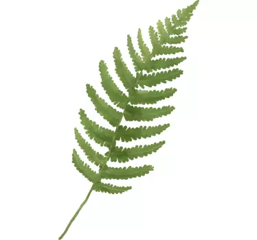 Fern leaf plant wall sticker - TenStickers