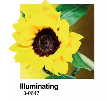 Wall sticker sunflower floral accent - TenStickers