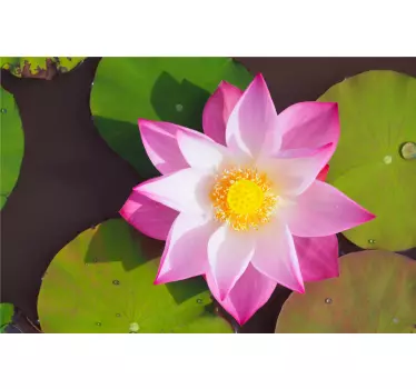 Lotus flower on water shower sticker - TenStickers