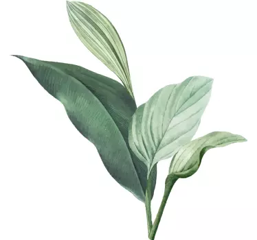 Plant sticker large leaf arrangement - TenStickers
