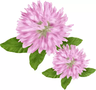 Flower wall sticker pink blooming flowers - TenStickers