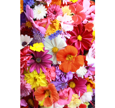 Flowers Fridge Sticker - TenStickers