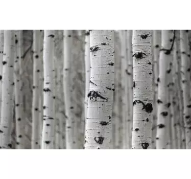 Nature wall sticker birch forest scene - TenStickers