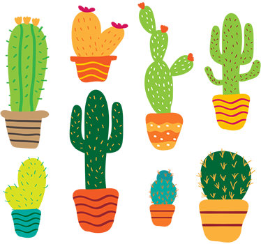 Colorful cacti plant wall sticker - TenStickers