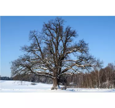 Winter Tree Wall Mural - TenStickers