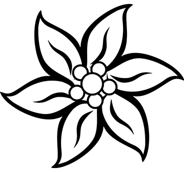 Edelweiss Flower Sticker - TenStickers
