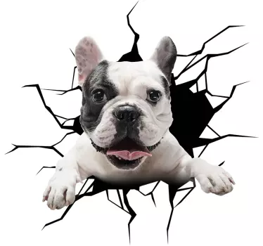 Dog peeking from broken glass window car sticker - TenStickers