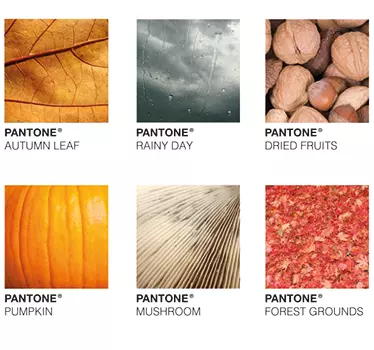 Autumn Pantone - TenStickers