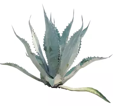 Agave Plant Wall Sticker - TenStickers