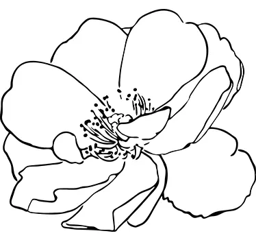 Mono-Colour Flower - TenStickers