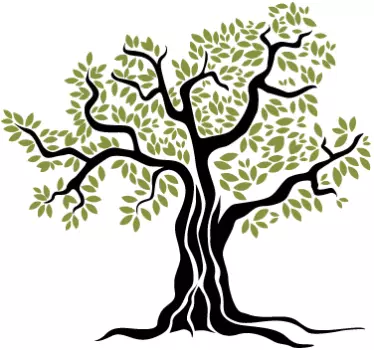 Old olive tree wall sticker - TenStickers