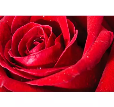 Red Rose Wall Mural - TenStickers